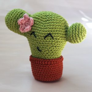 amigurumi cactus eindresultaat